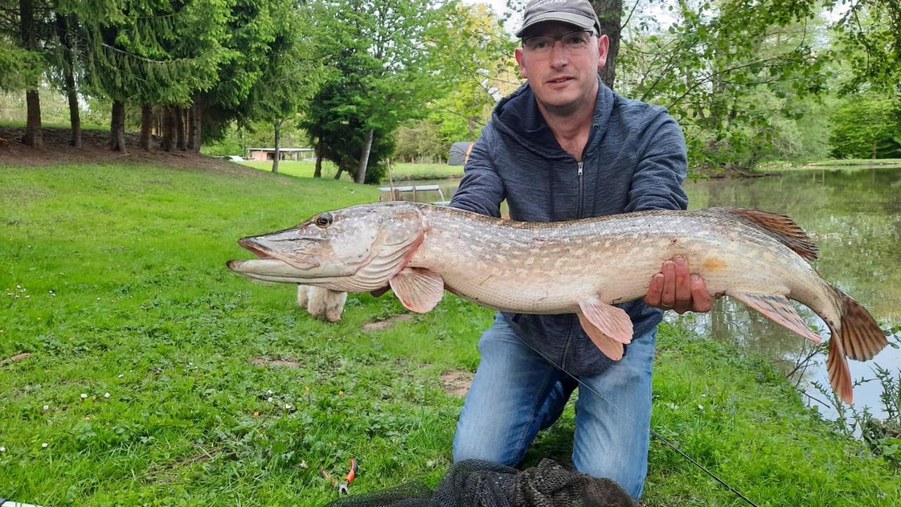 Les Etangs Du Moulin D'Harcy Hotel Lonny Bagian luar foto
