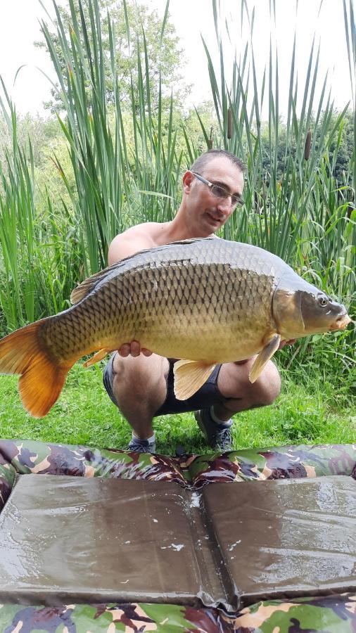Les Etangs Du Moulin D'Harcy Hotel Lonny Bagian luar foto